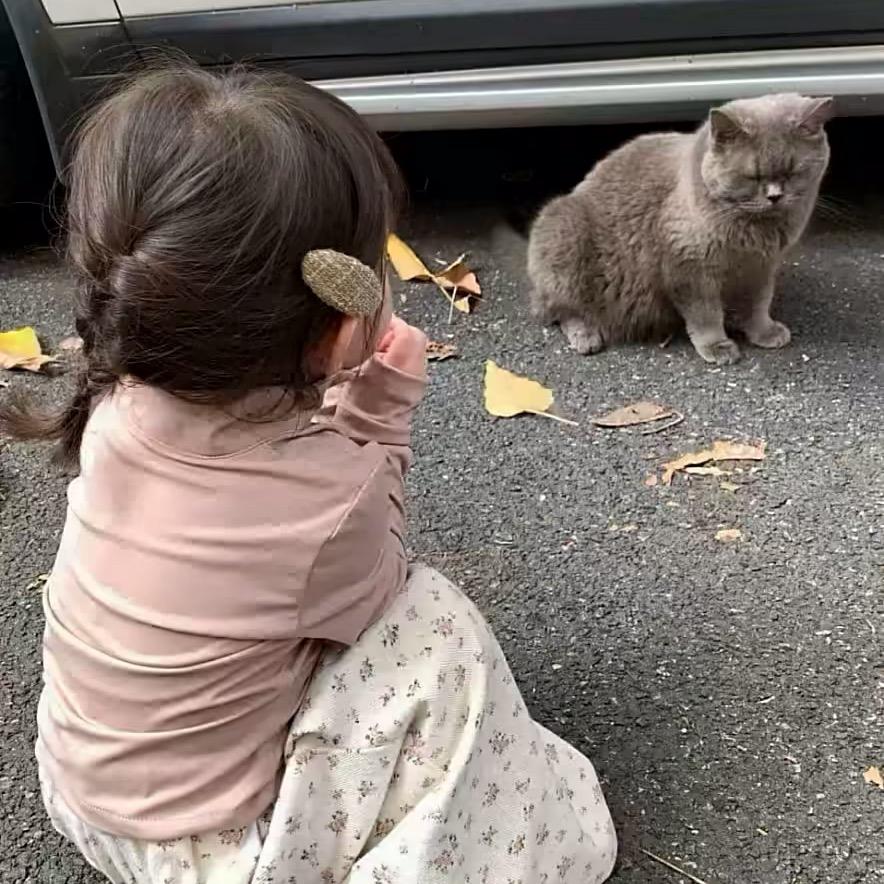 .........