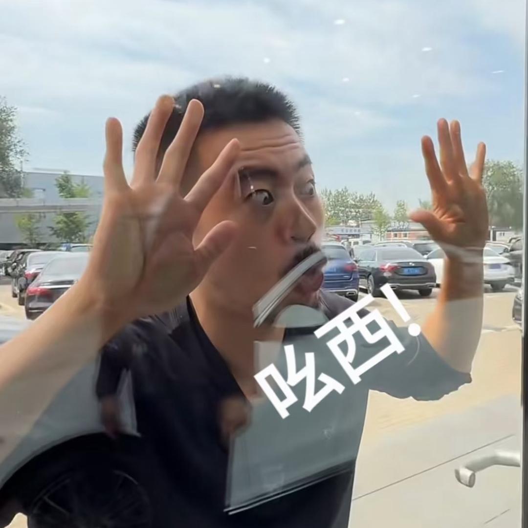 逗车拍档
