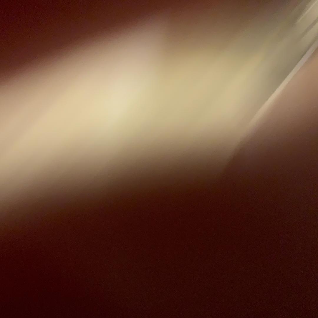 小蜘蛛🕷️