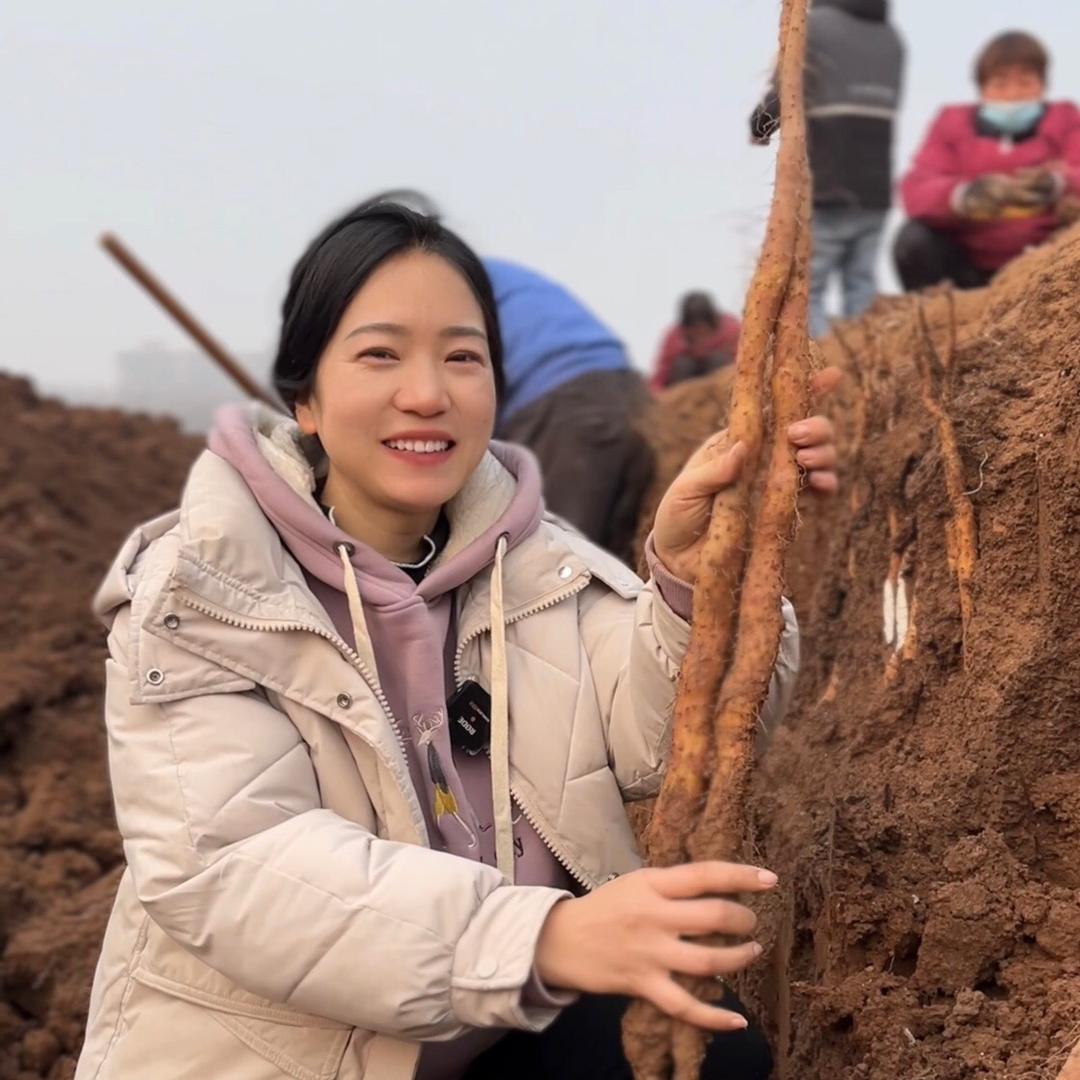 怀辅堂铁棍山药