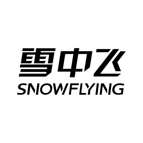 雪中飞沈阳皇姑万象汇店秀