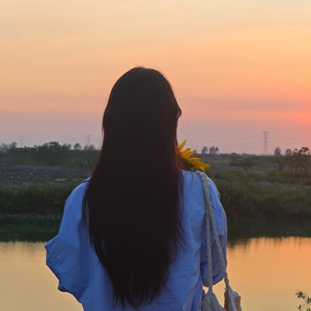 枯木不逢春