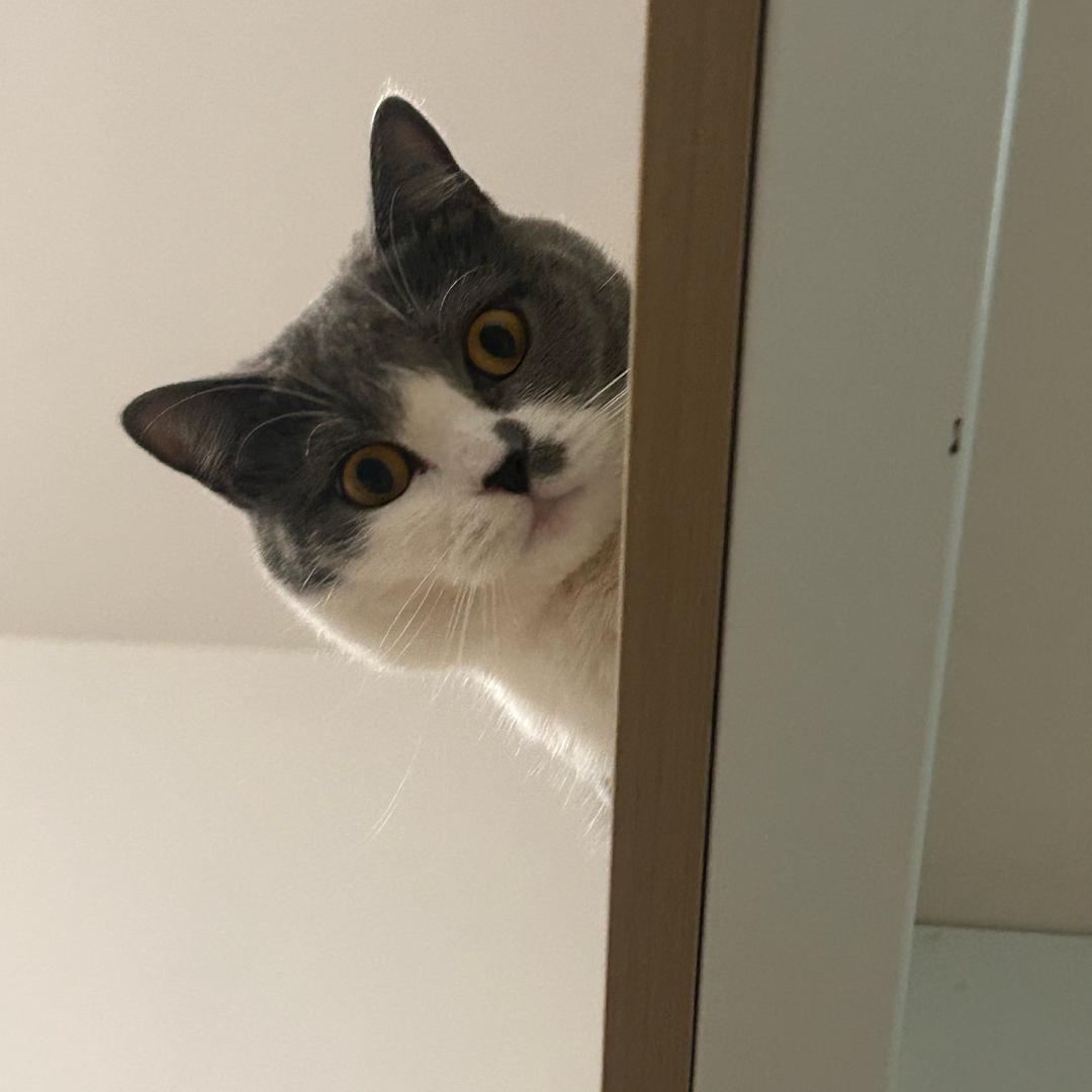 ,