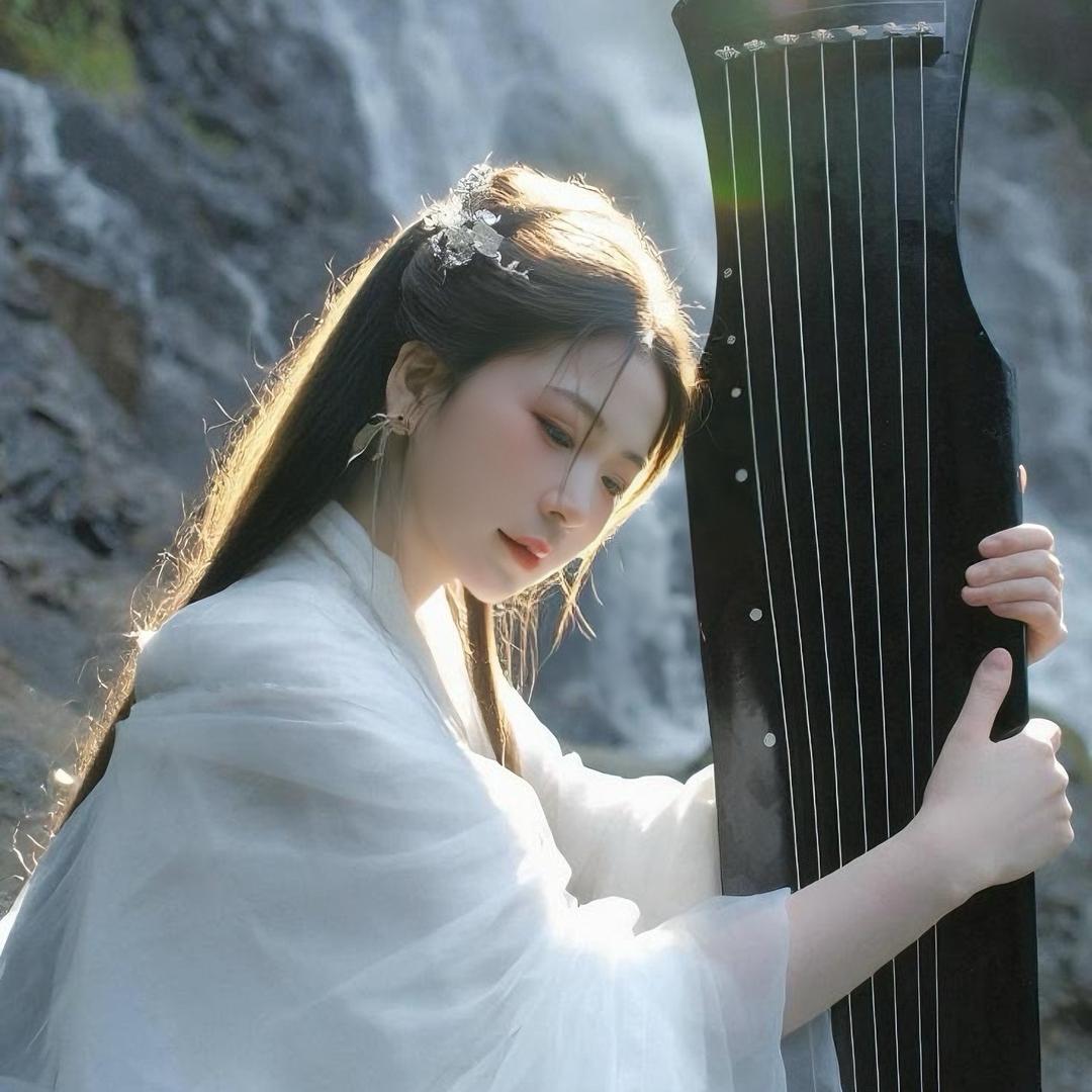 张鱼小丸子 ✨