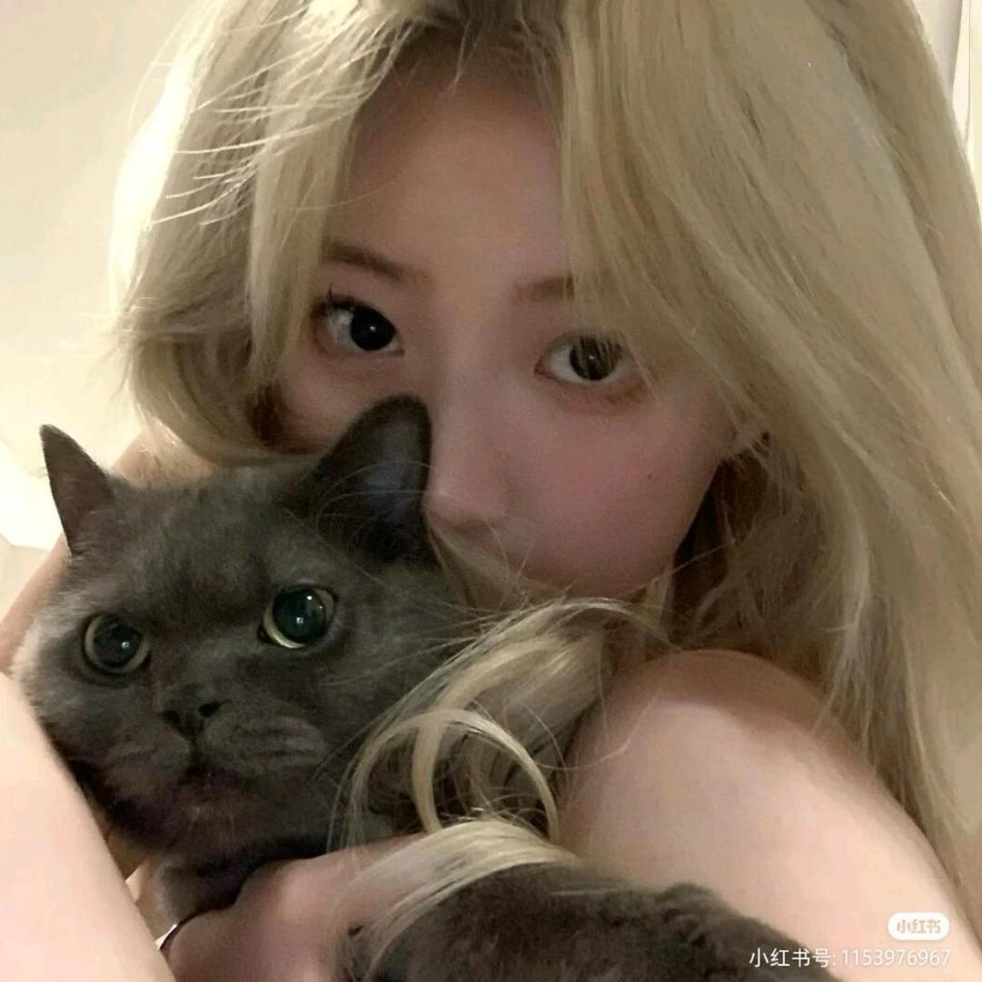 PraKitty-
