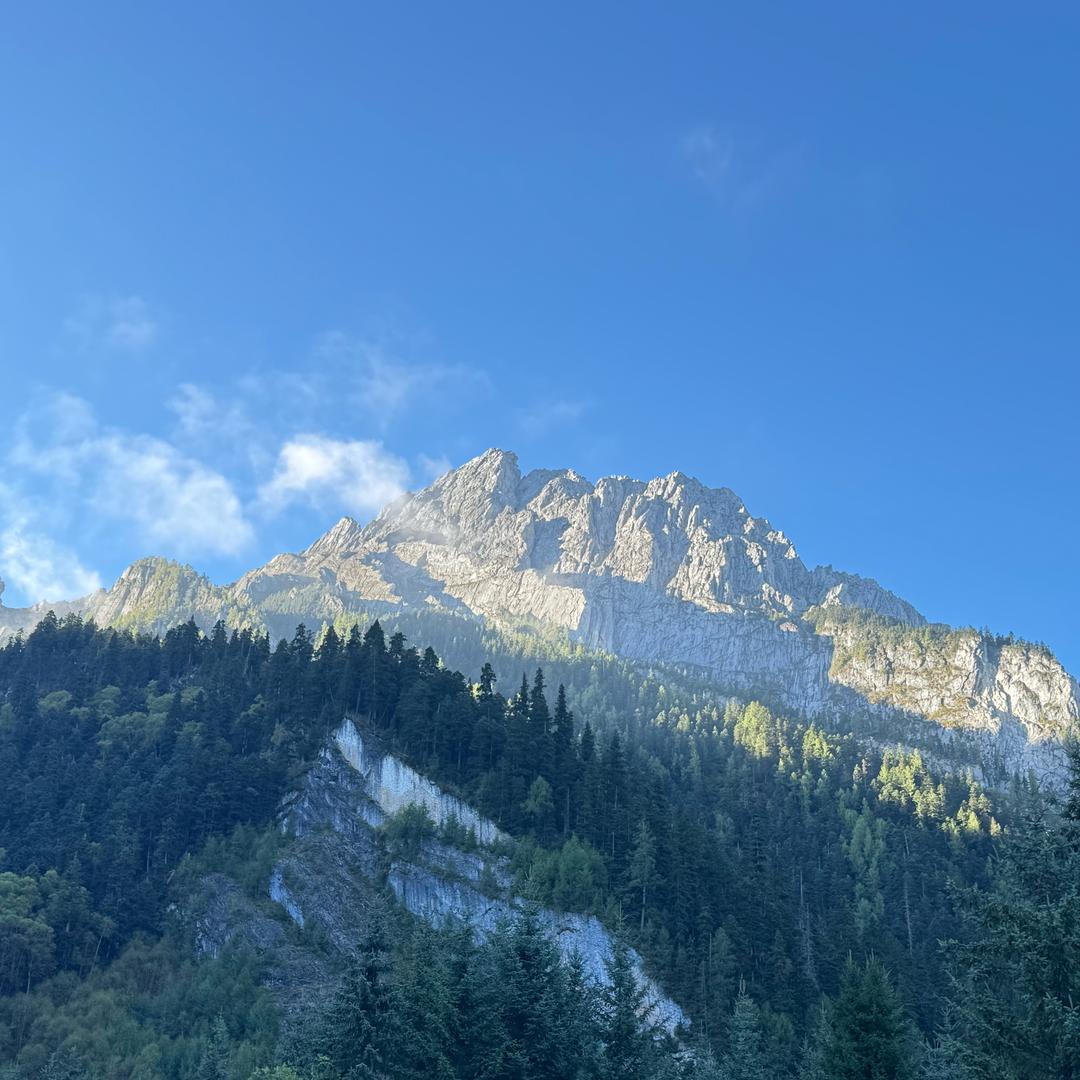 啵啵奶茶不加糖