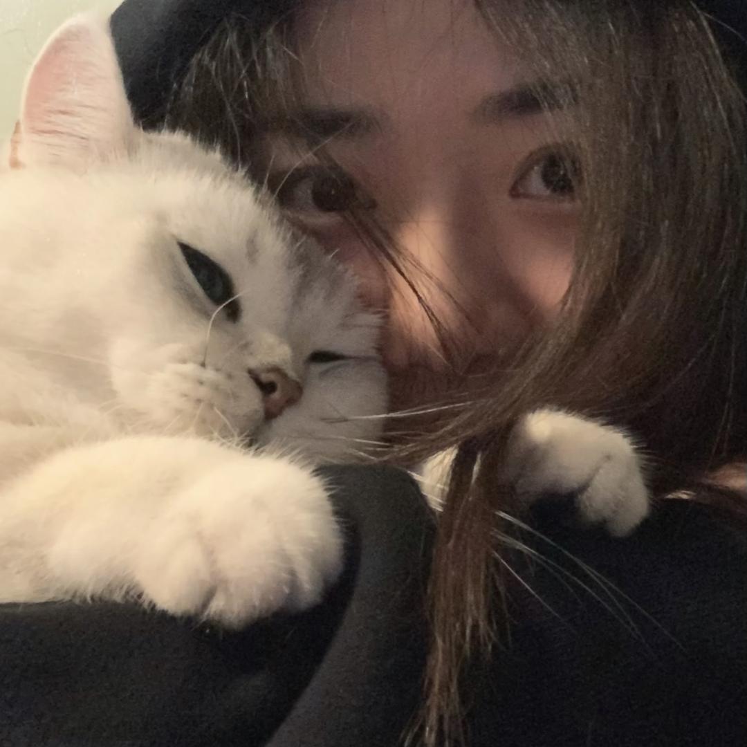 银宝是最可爱的小猫