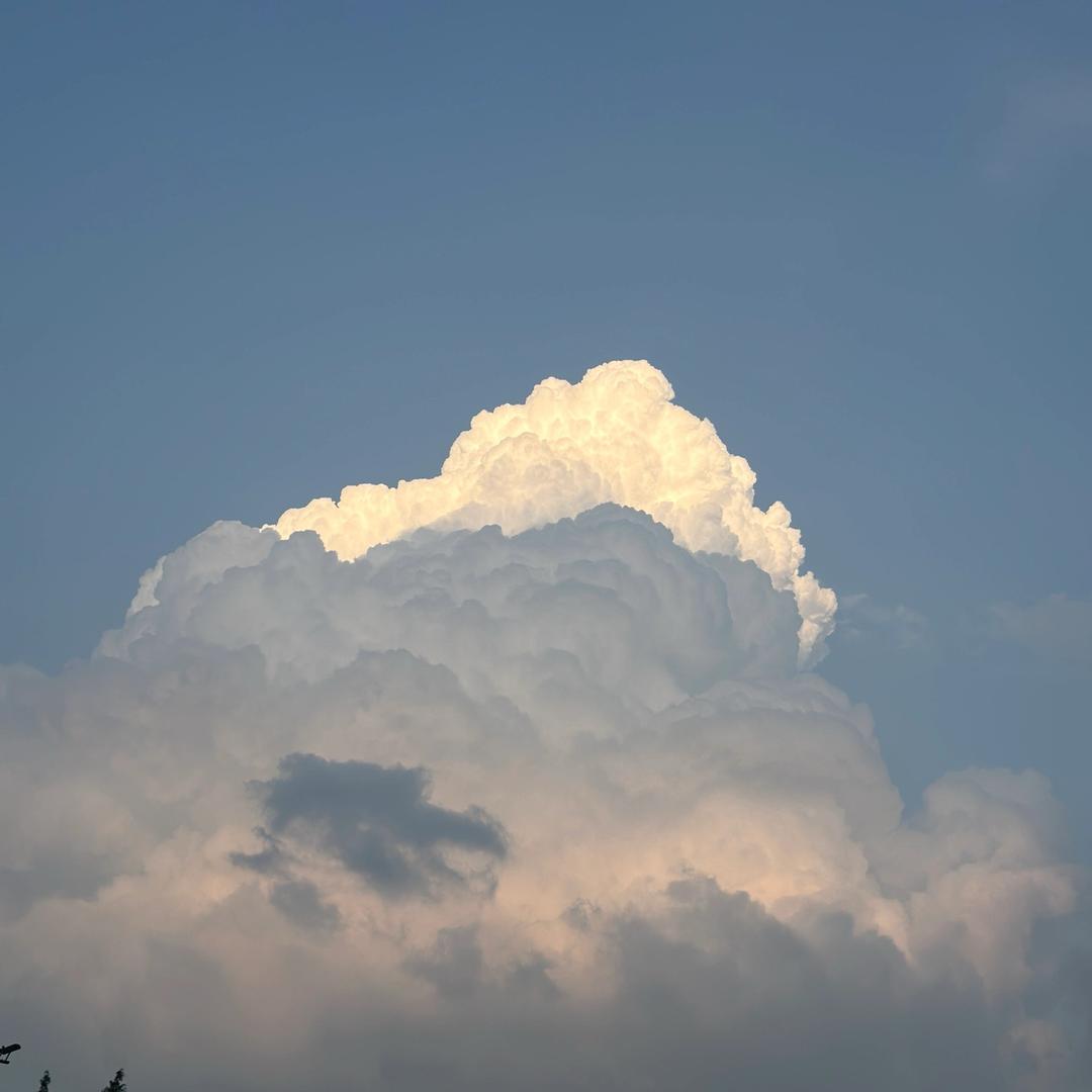 热心市民曾小丢