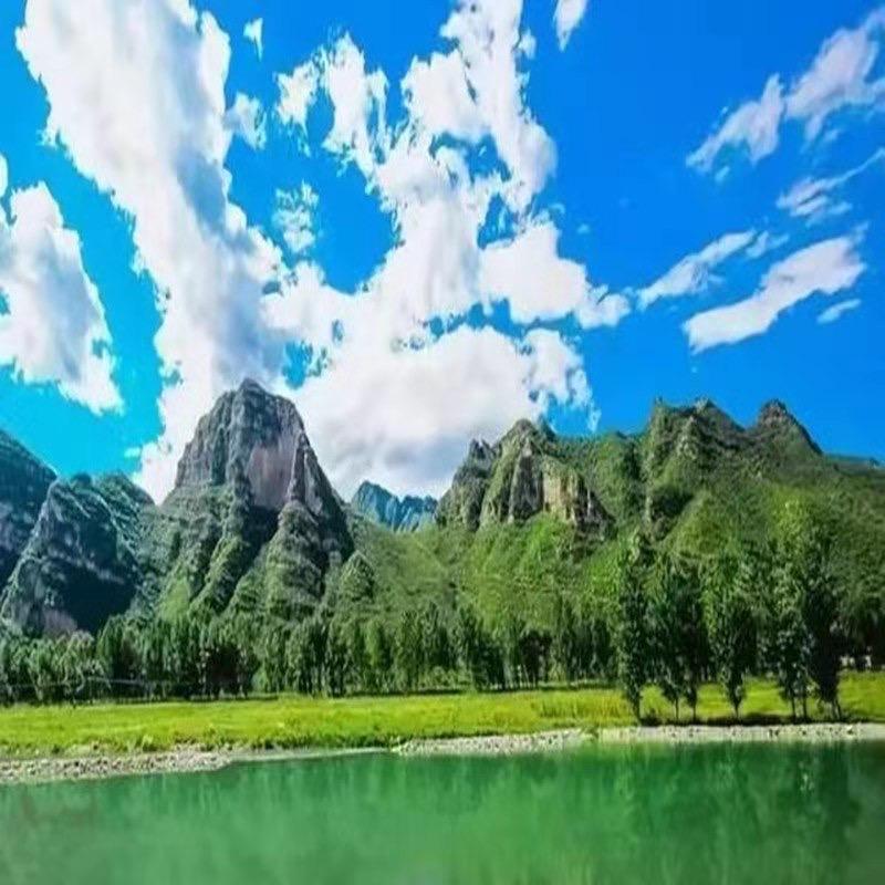 五星海鲜经销处