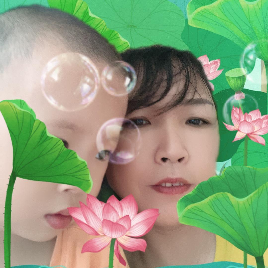 杨哥王