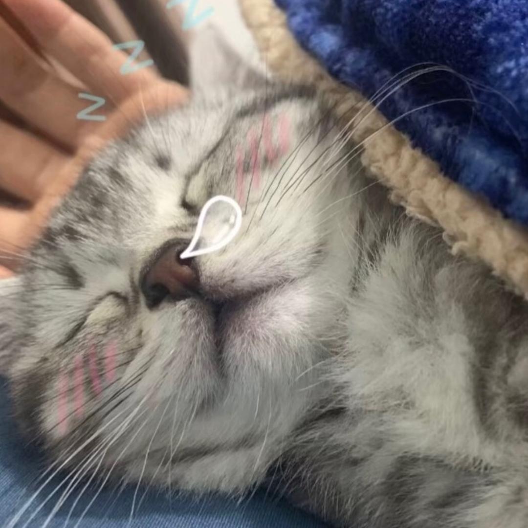小猫拯救世界