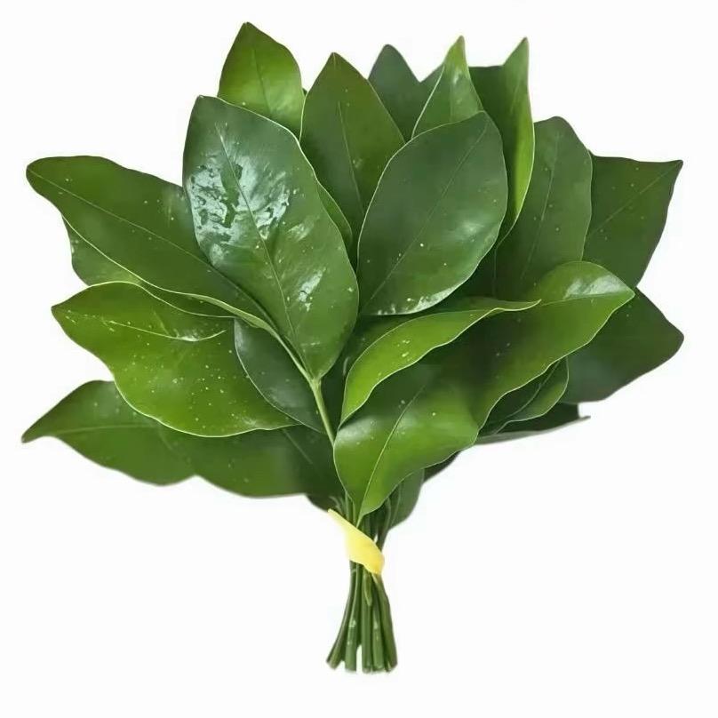 好运降临