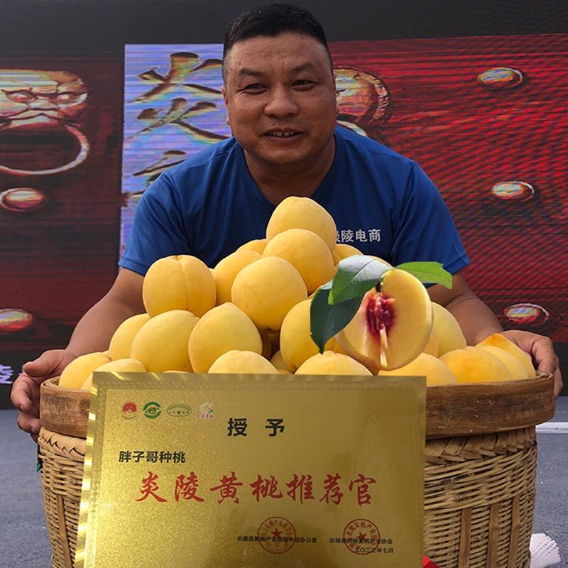 胖子哥种桃