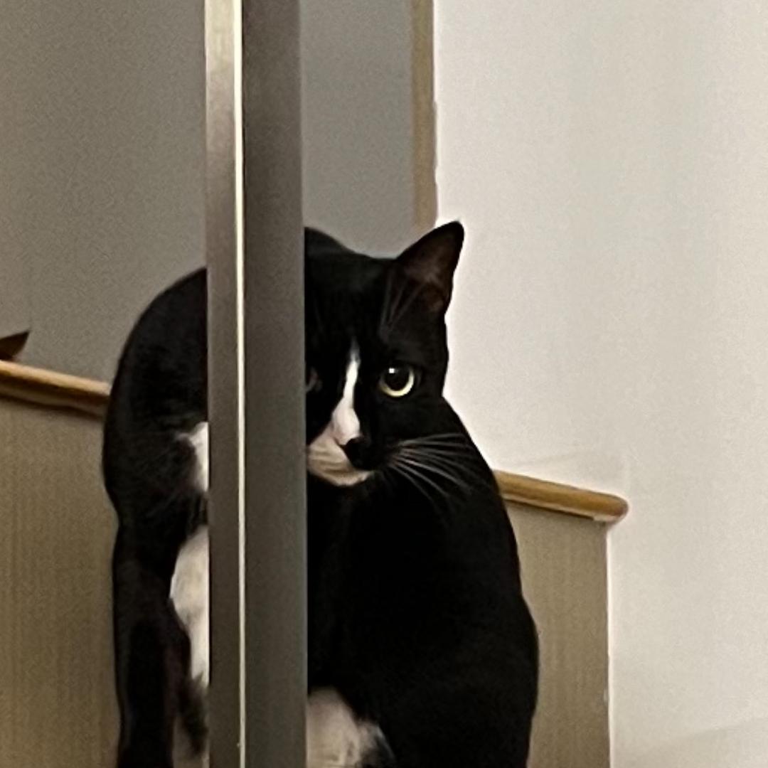 喂？