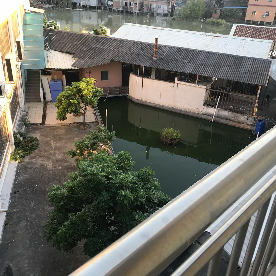 小牛记录生活