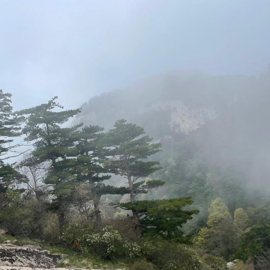 润玉阁珠宝