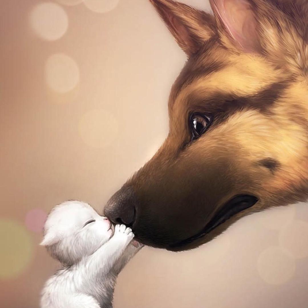 当回忆已成习惯