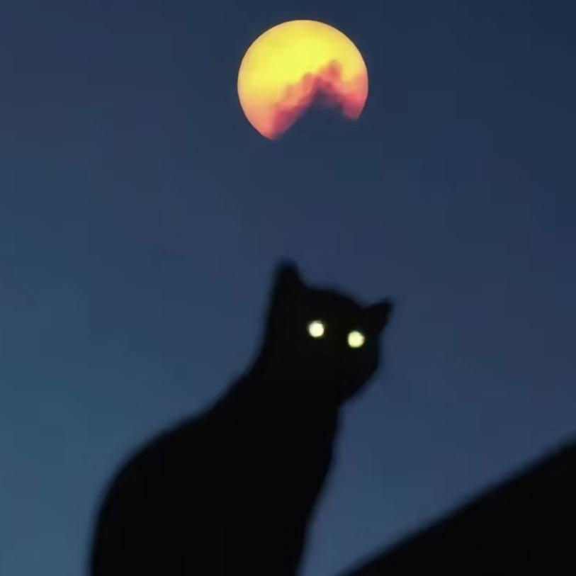 野望