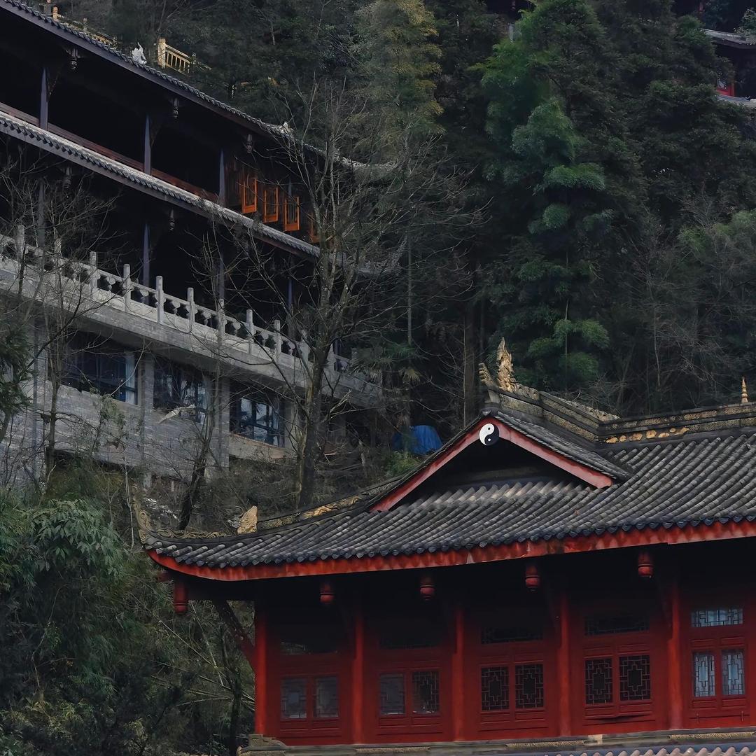 尚志师兄