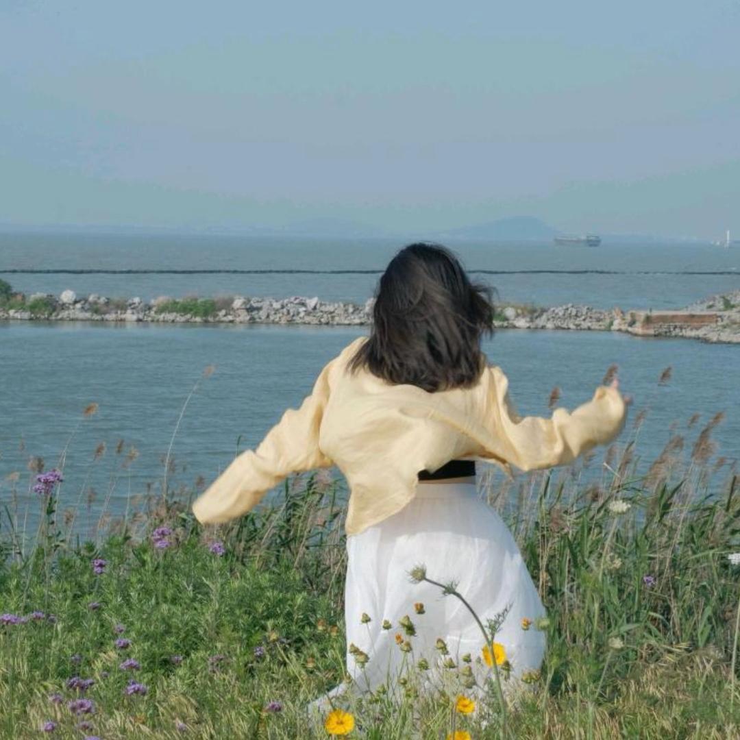 随风去