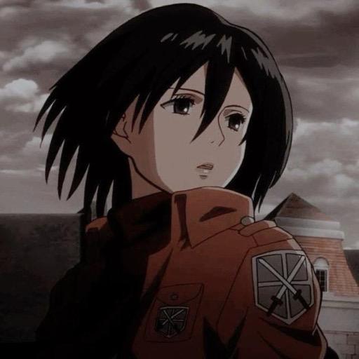 ㅤㅤㅤㅤㅤㅤㅤㅤㅤㅤㅤㅤMikasa