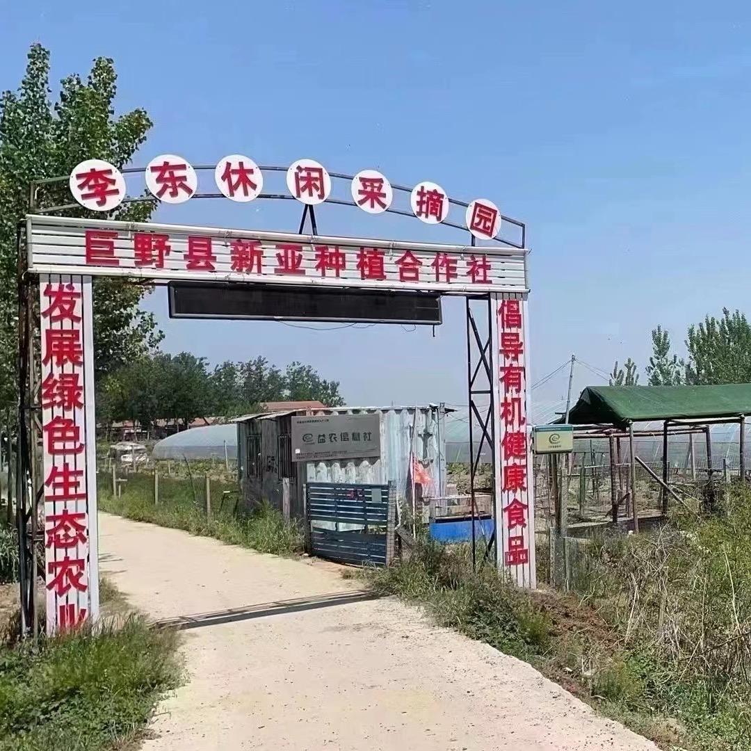 李东休闲采摘园官方号