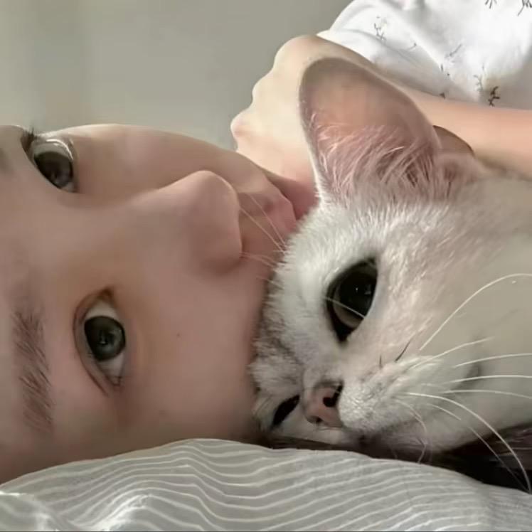 笨蛋.