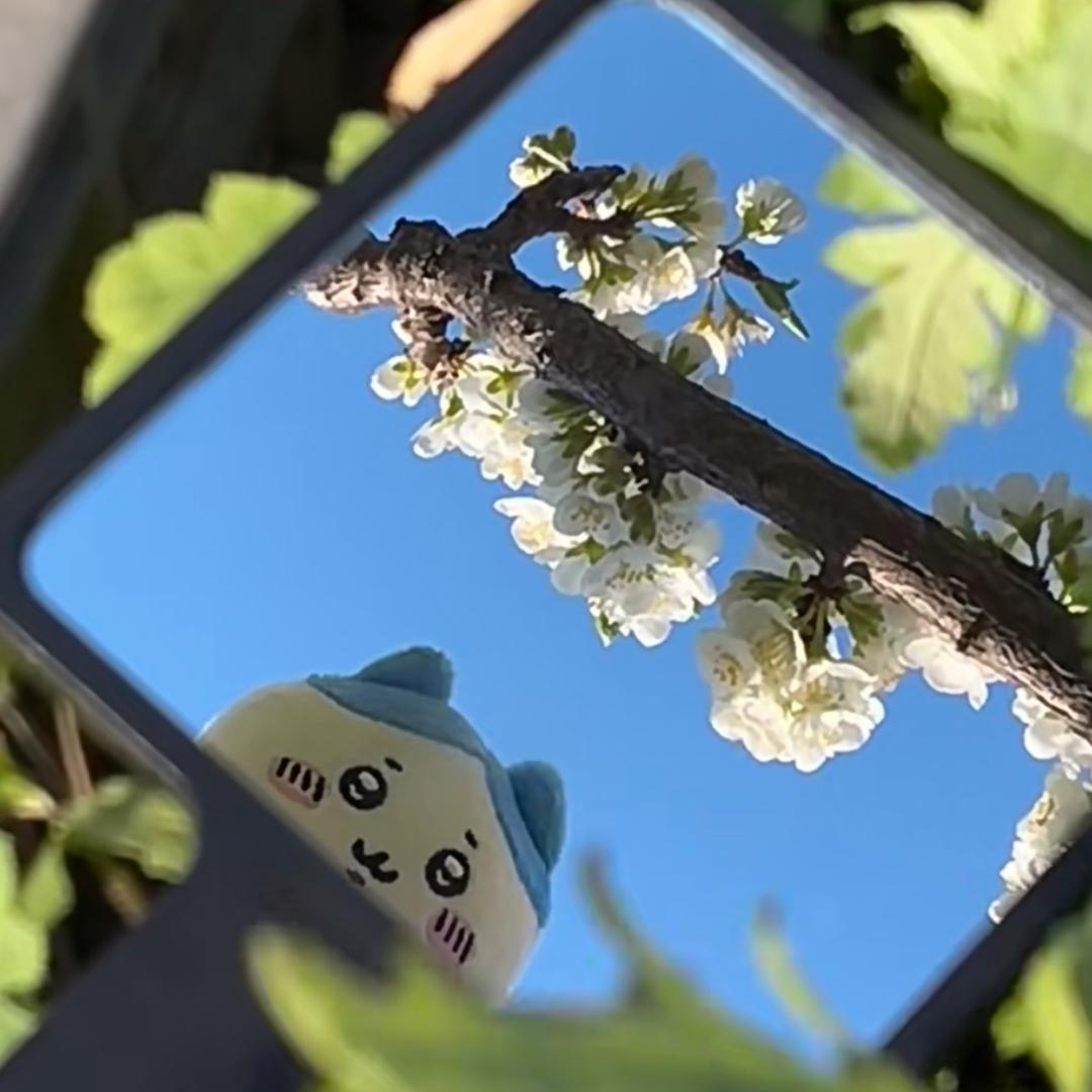 矿泉水瓶🚰·̫🚰