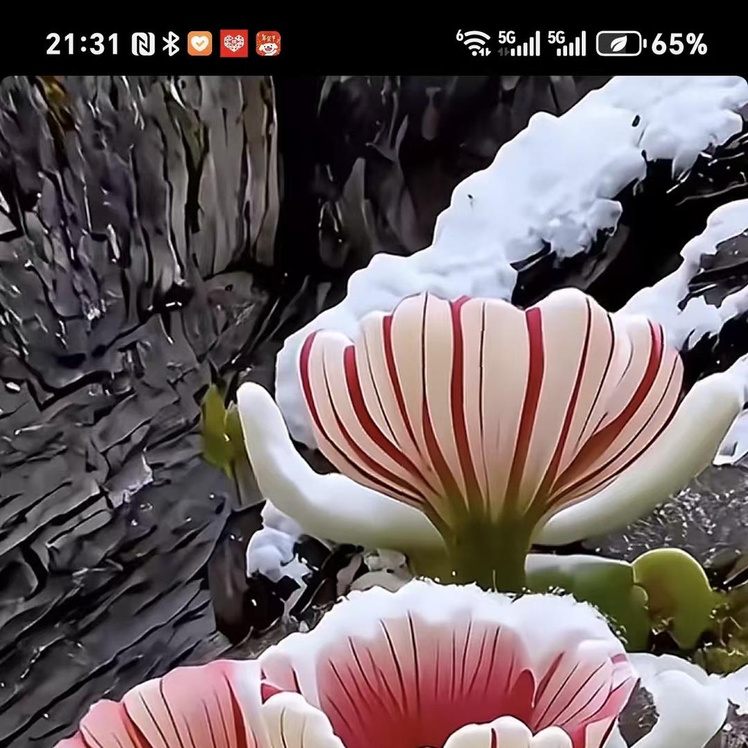 江哥（焕宗店)生活号