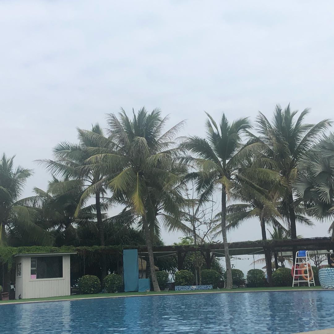清风€煮酒