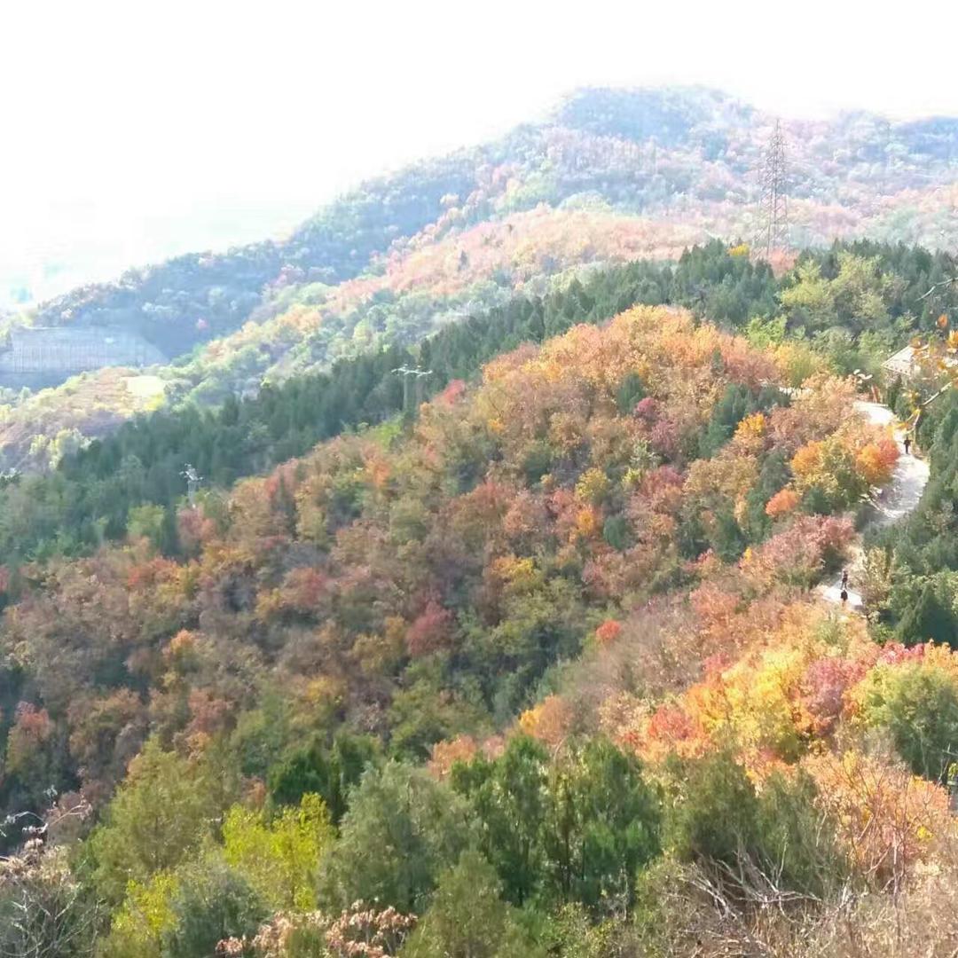 简单的幸福（3949）