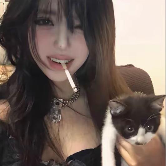 张的美