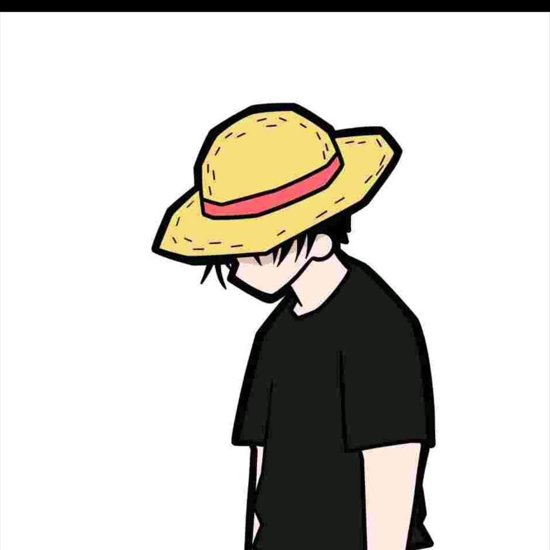☀️路飞