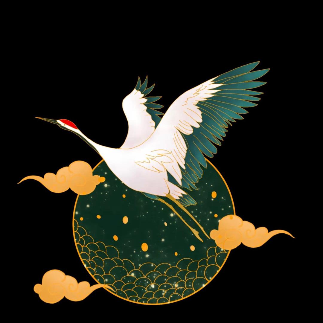 🌻 彩线 🕊