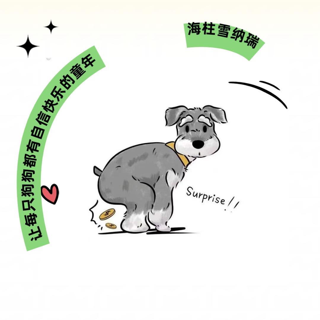 海柱•雪纳瑞•萌宠