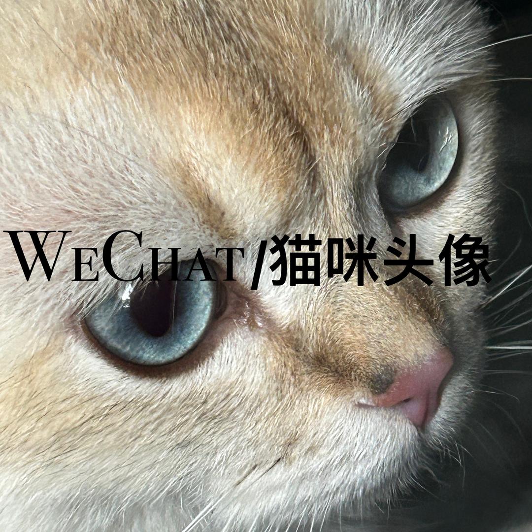 芝麻开门