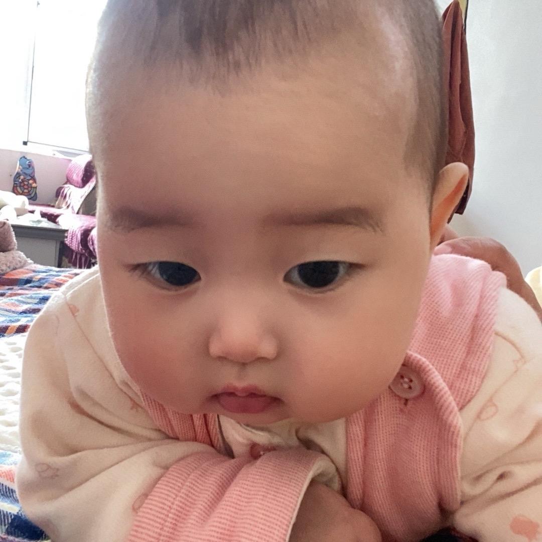 诺诺成长记