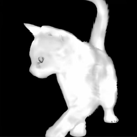 ㅤ     ㅤ     ㅤ