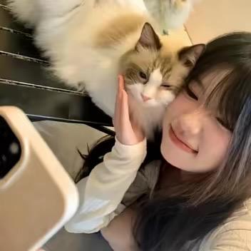 凌晨的心事.