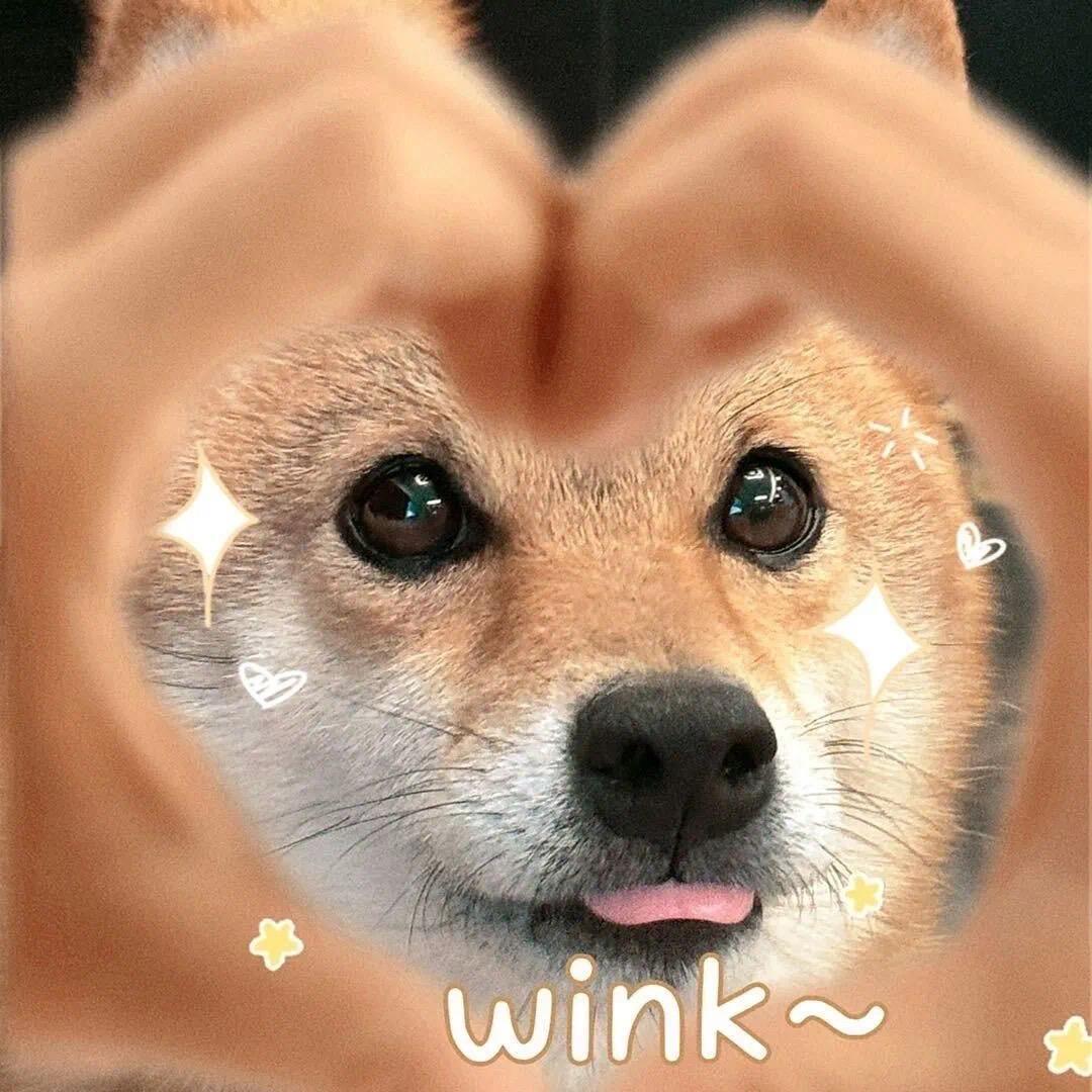 💖遇见: 🥀⃟错觉᭄
