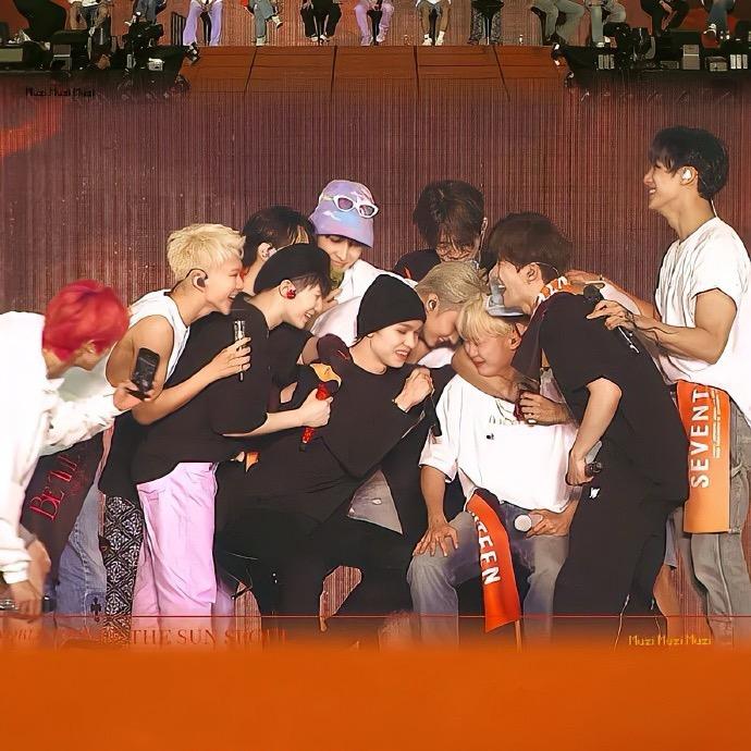 鱼有七支向日葵