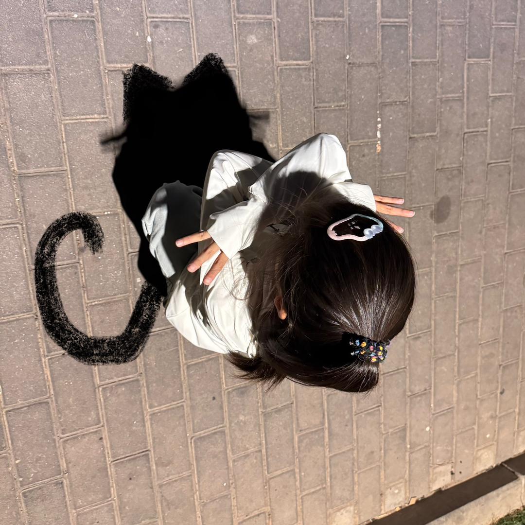 茶茶是个猫✨