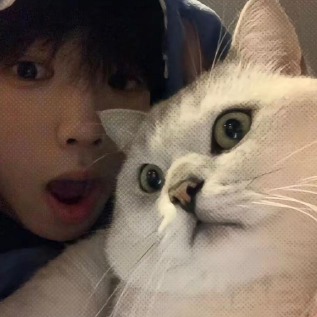 Y：