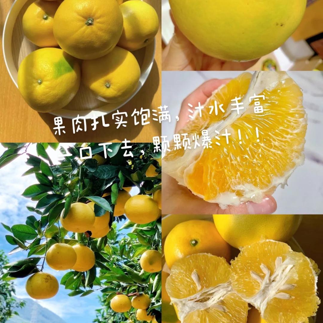 本该时鲜文文果园