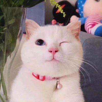 天华