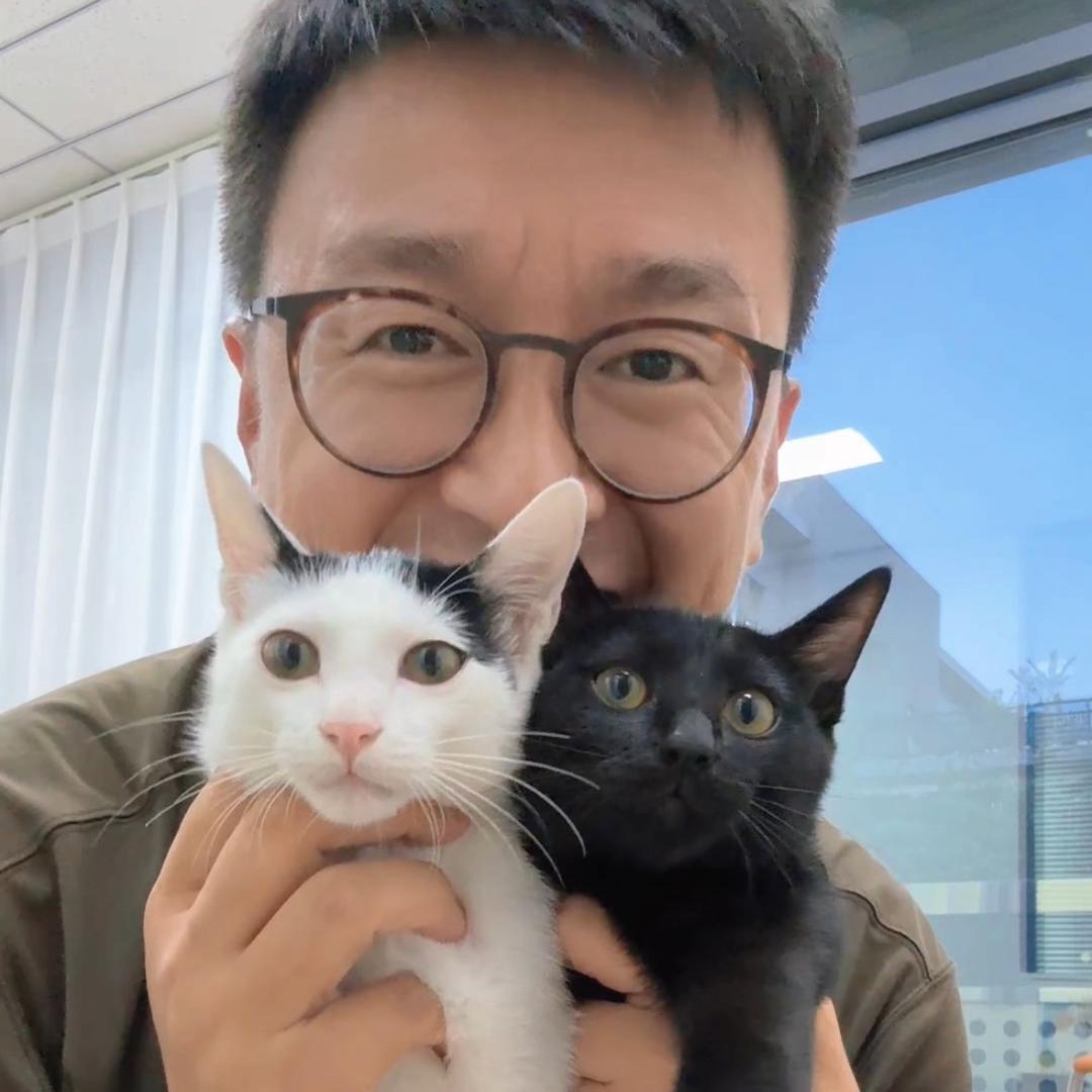 柿子菌meow