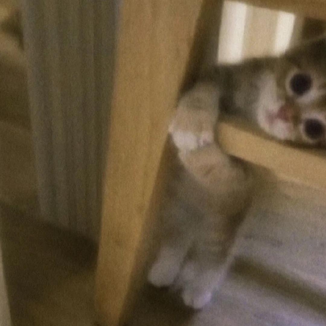 打倒三明治（自律版）