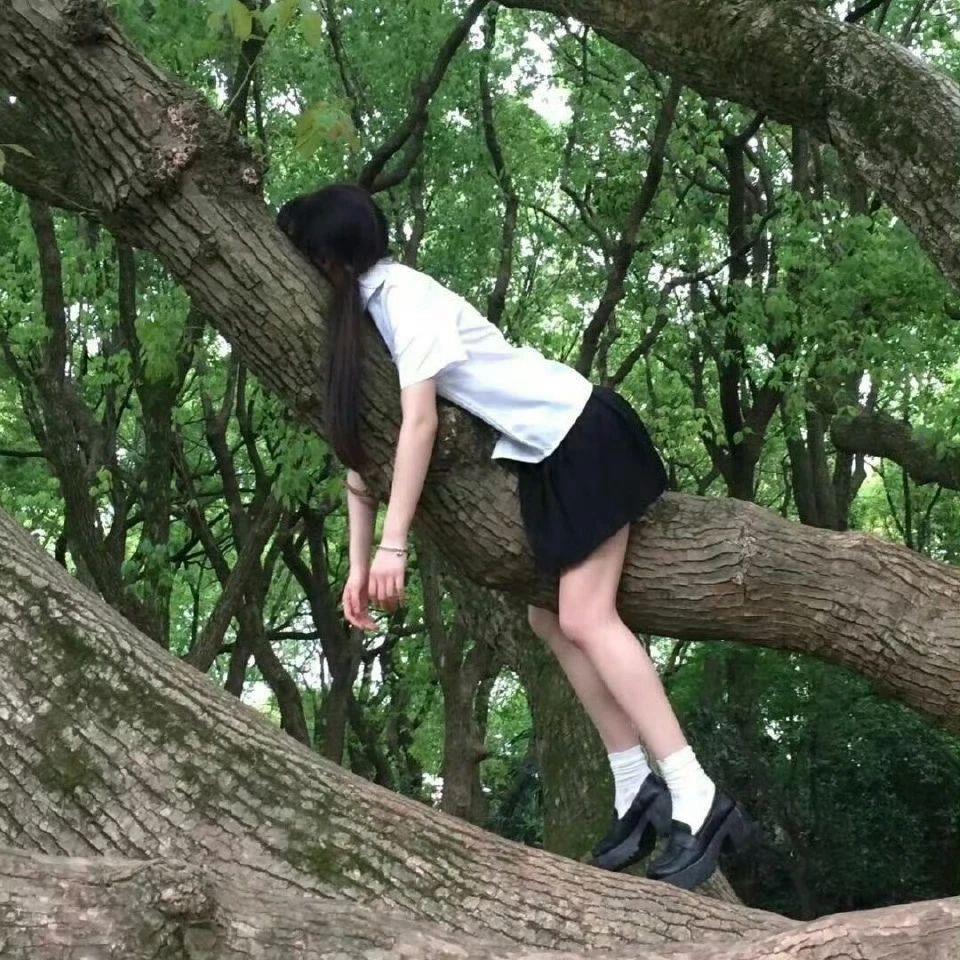 小11大王