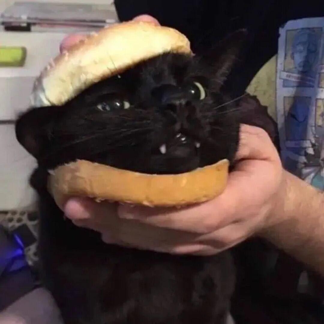 dDc