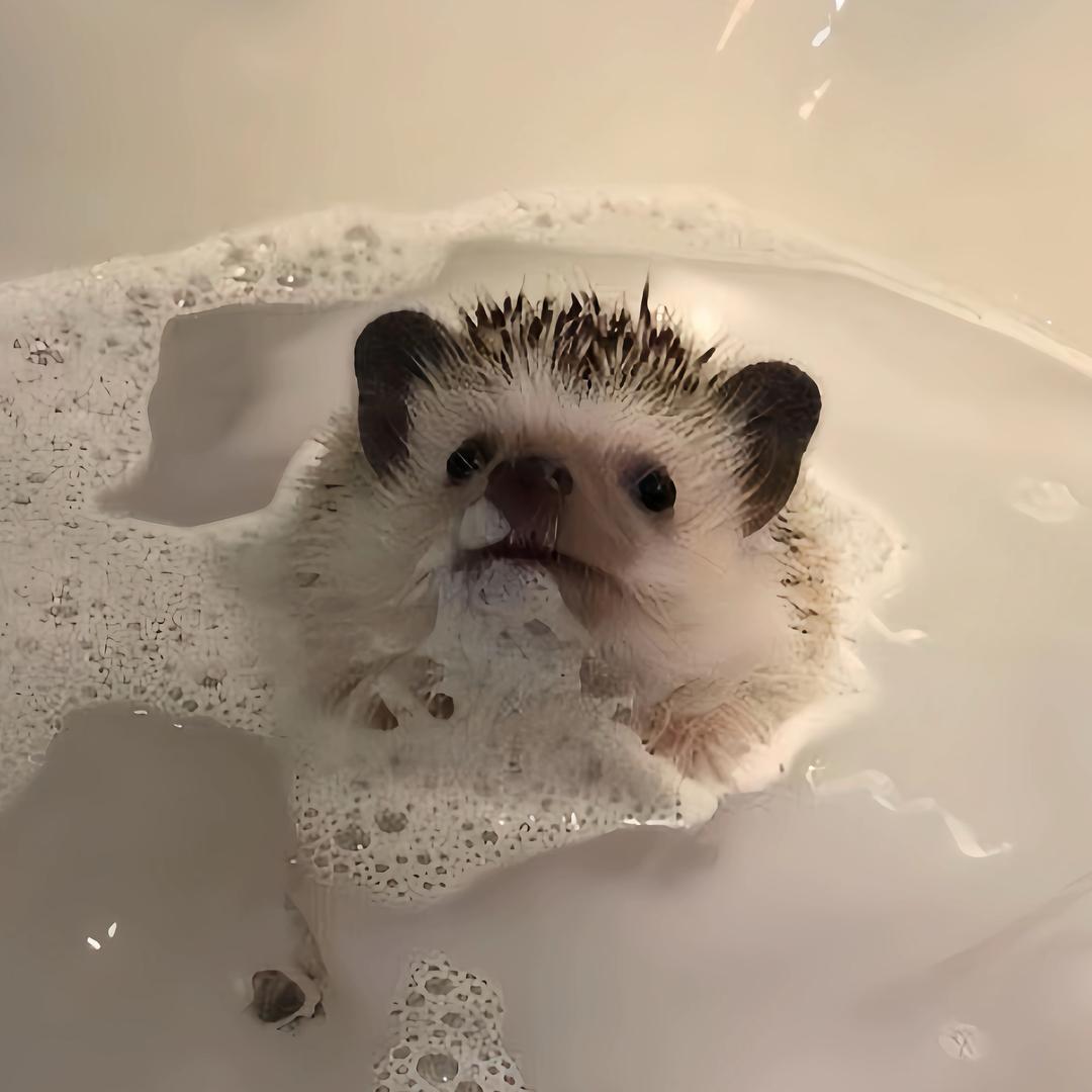 NONO